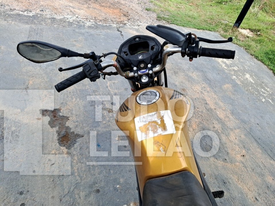 Foto 7