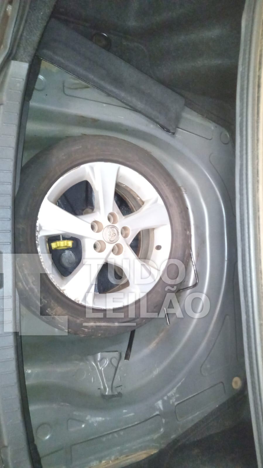 Foto 5