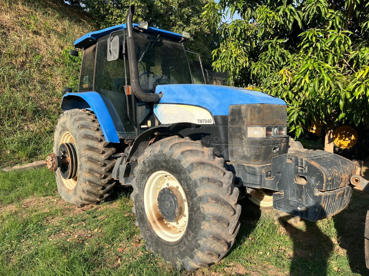 Foto 1