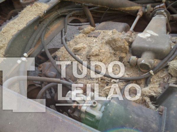Foto 9