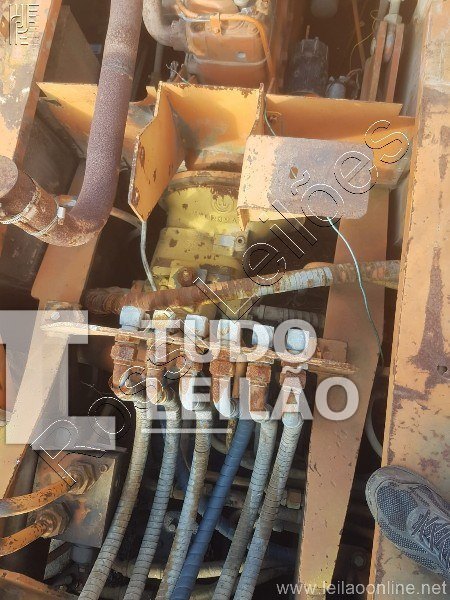 Foto 12