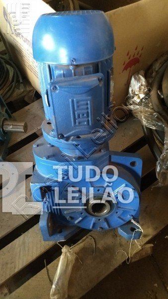 Moto Redutor 1:154,6 GO42 E.vazado Tipo Do Redutor: Coroa/sem-fim Fixação: Braço De Torção