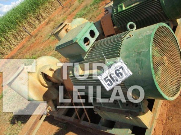 Conjunto Moto Bomba Centrífuga - Imbil Com Motor Siemens 250CV