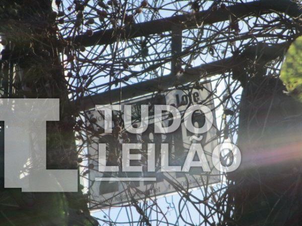 Foto 9