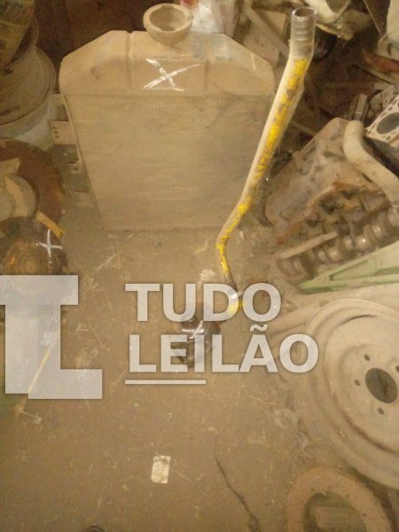 Foto 7