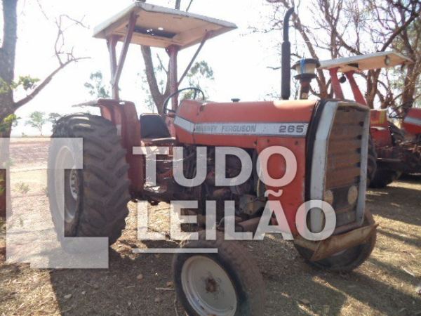 Foto 6