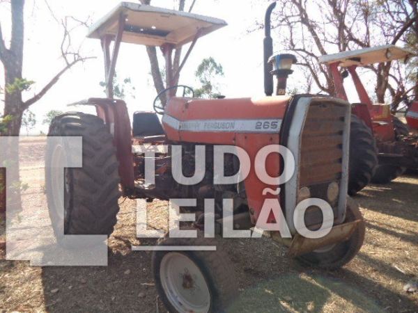 Foto 8