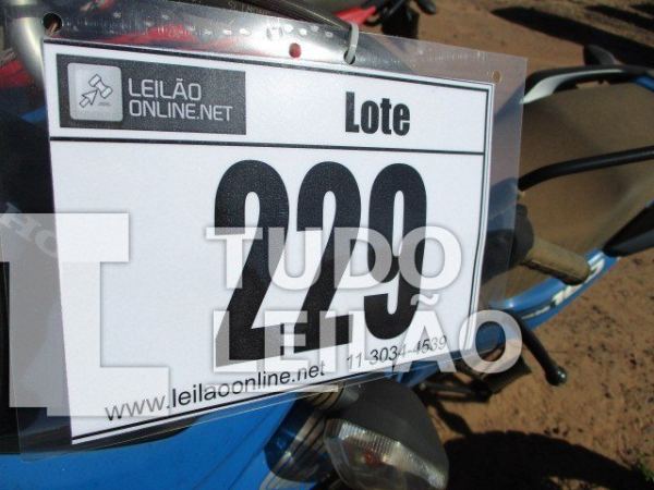 Foto 6