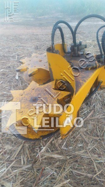 Foto 7