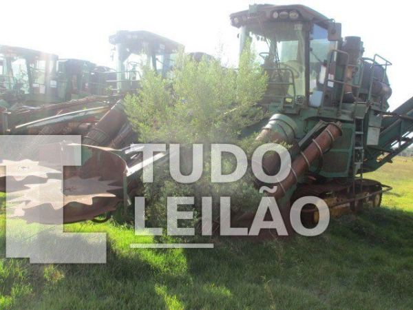 Foto 8