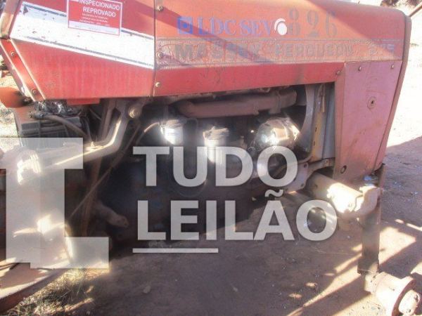 Foto 7