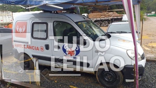 Renault T Kangoo Rontan 2014