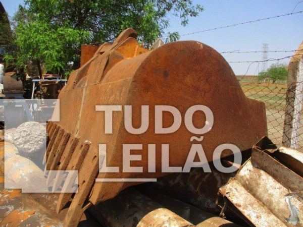 Lote 23 - 2 Conchas