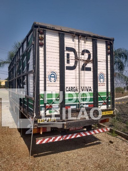 Gaiola Para Carga Viva Para Caminhão 3/4