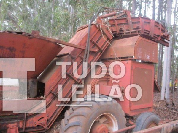 Foto 8