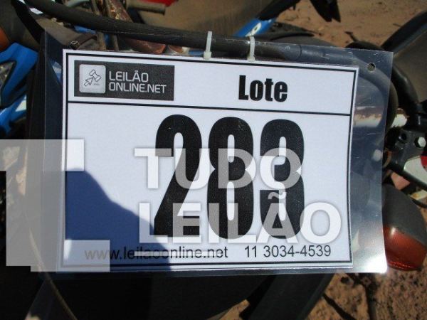 Foto 7