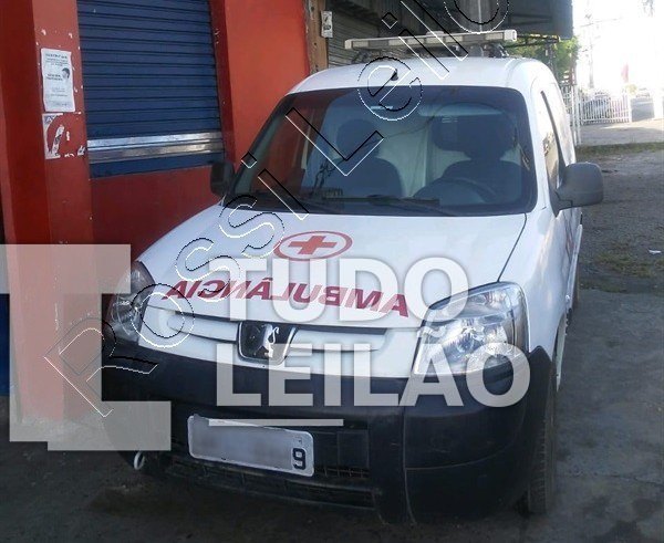 Peugeot T Partner Marimar 2012