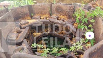 Foto 5
