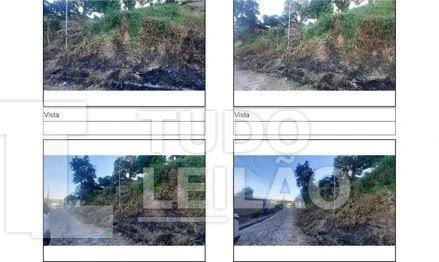Terreno em Ribeirão das Neves/MG - Imóvel 2333040