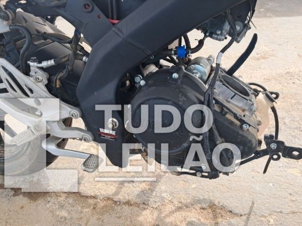Foto 11