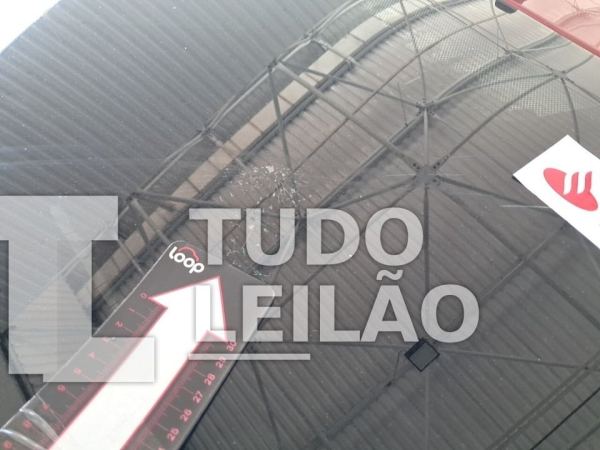 Foto 19