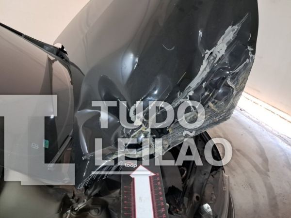 Foto 45