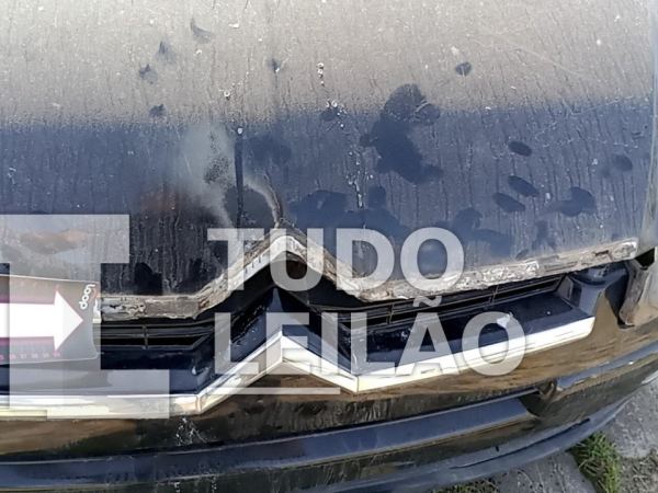 Foto 42