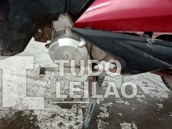 Foto 12