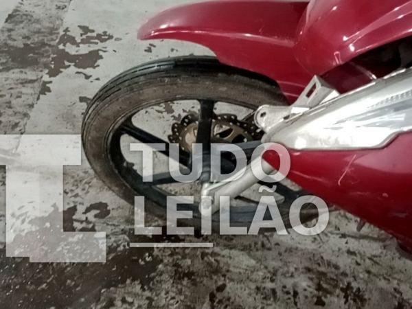 Foto 13