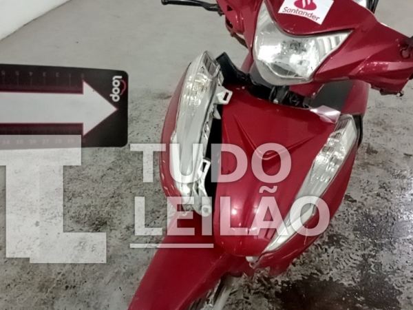 Foto 19