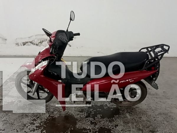Foto 8