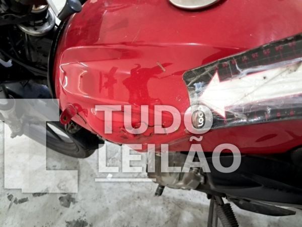 Foto 19