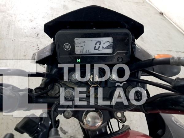 Foto 7
