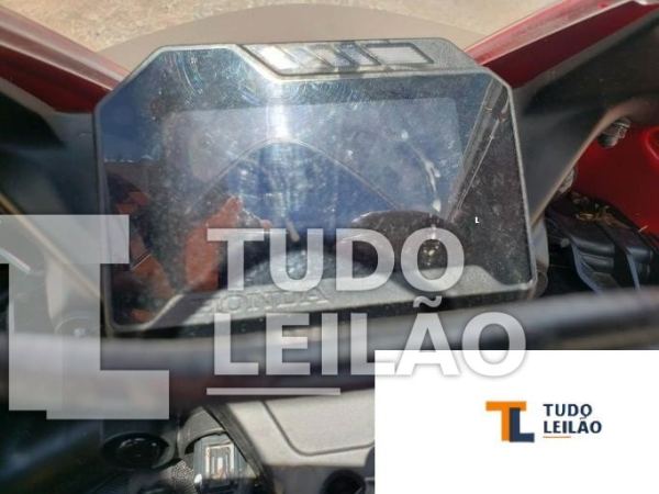 Foto 7