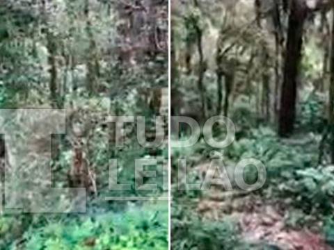 Área com 3.750 m² - Jardim das Pérolas - Campos do Jordão - SP