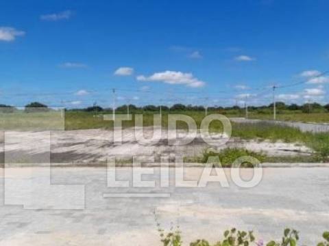 Área com 14.652 m² (Fazenda Mosquito) - Santa Eugenia - Beberibe - CE