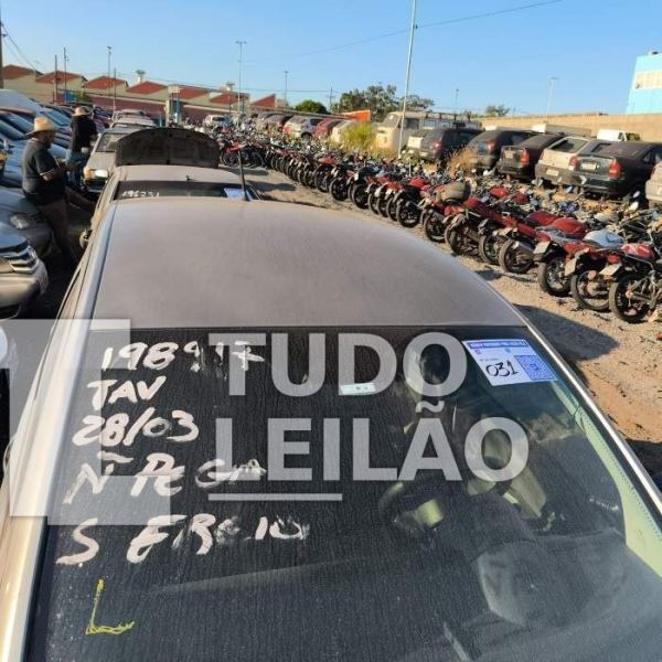 Foto 12