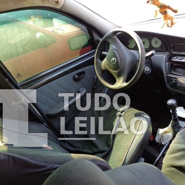 Foto 5