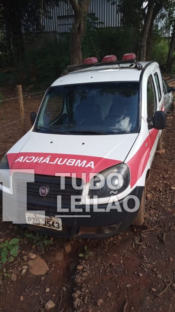 Foto 5