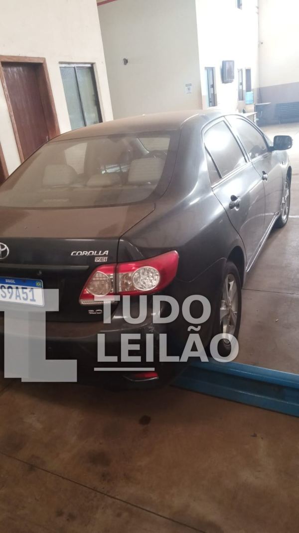 Foto 11