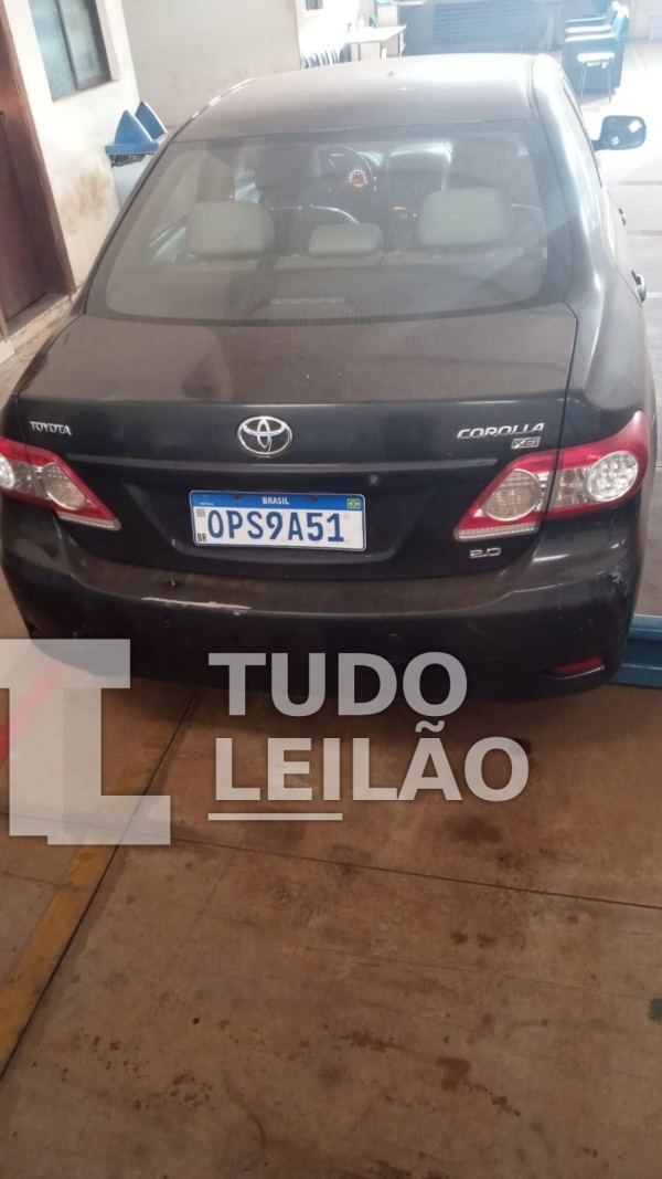 Foto 12