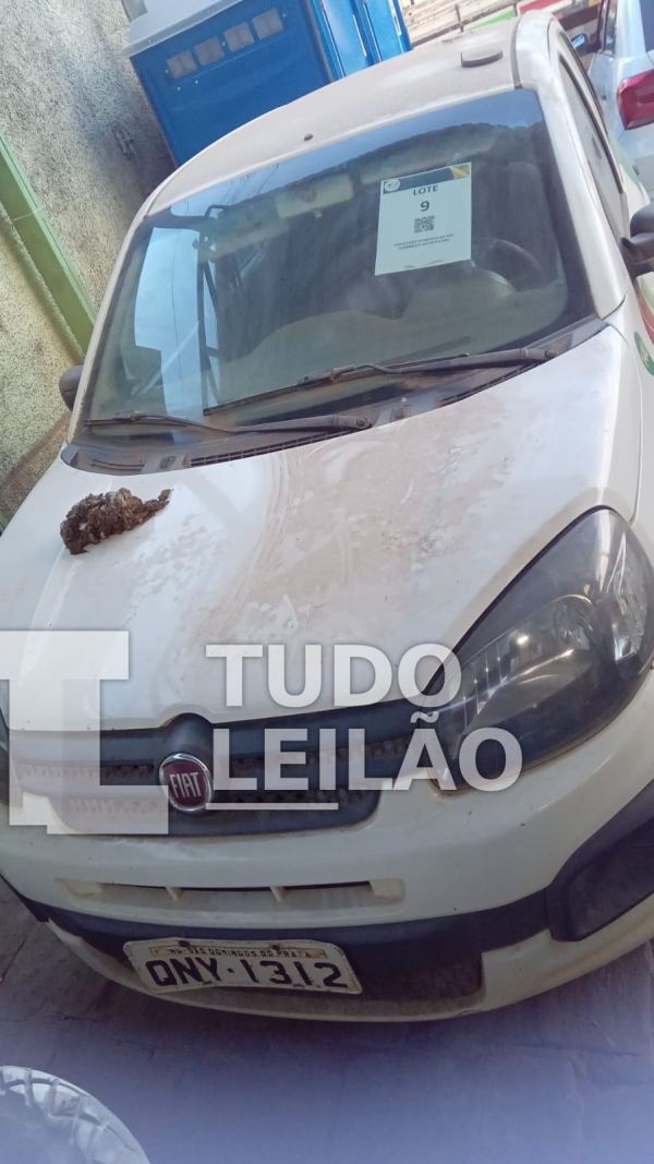 Foto 5