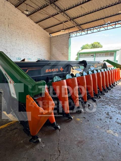 PLATAFORMA STARA BRAVA 7980