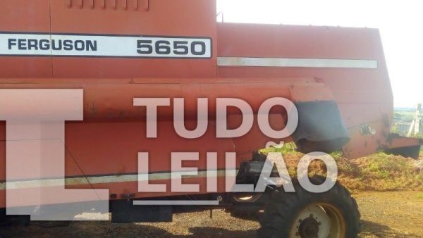 Foto 6